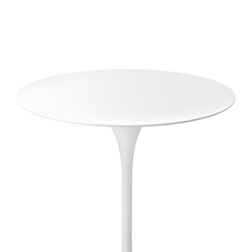 Mesa Tulip Side
